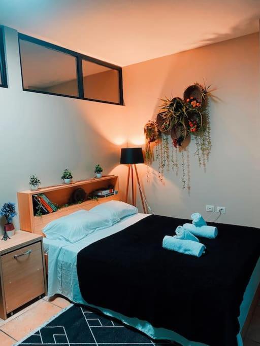 Amazona Appartement