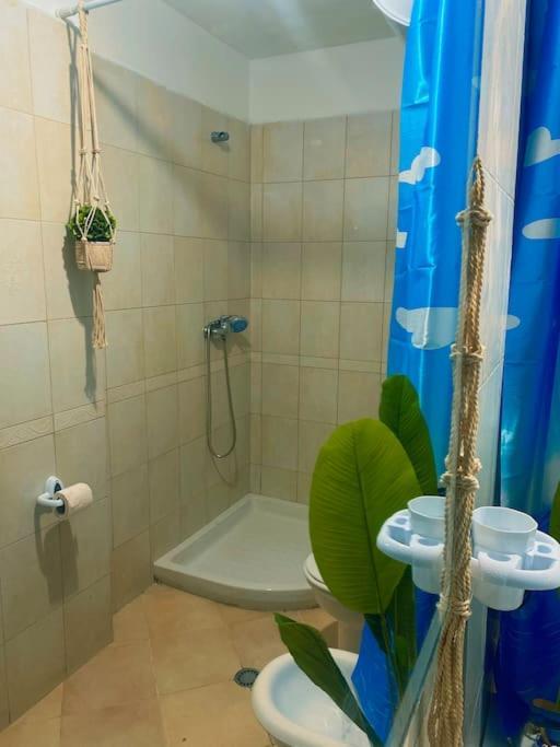 Amazona Appartement Tirana