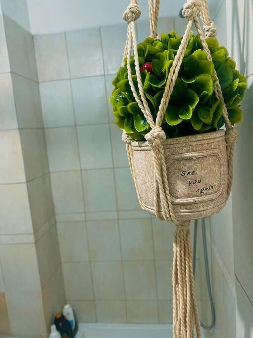Appartement Amazona Tirana